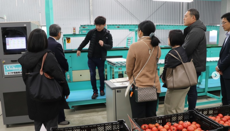 有限会社 樫山農園のトマト選果・ものづくり体験の様子｜徳島Heroes 2026 オープンファクトリー（夏休みの自由研究にも）