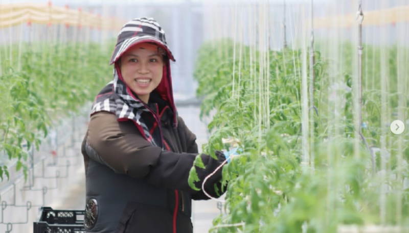 樫山農園 体験の様子
