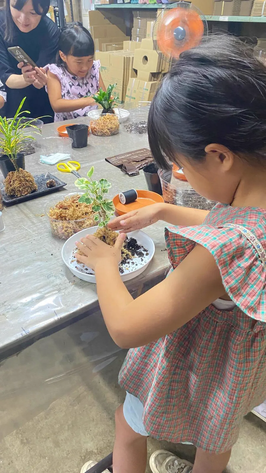 苗を鉢に植える体験に取り組む子ども
